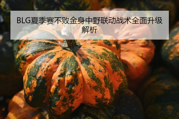 BLG夏季赛不败金身中野联动战术全面升级解析